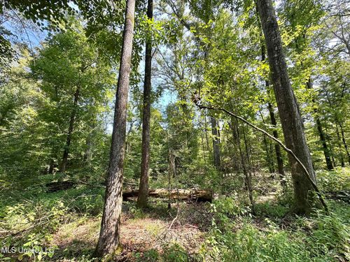 3 Prentiss Crump Rd, Terry, MS, 39170 | Card Image