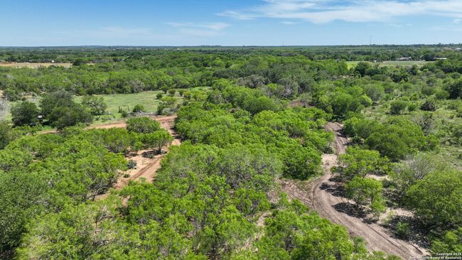 13704 Ladd Rd, Home with 0 bedrooms, 0 bathrooms and null parking in Atascosa TX | Image 11