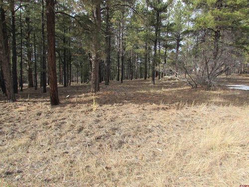 424 Antelope Ave, Pagosa Springs, CO, 81147-8453 | Card Image