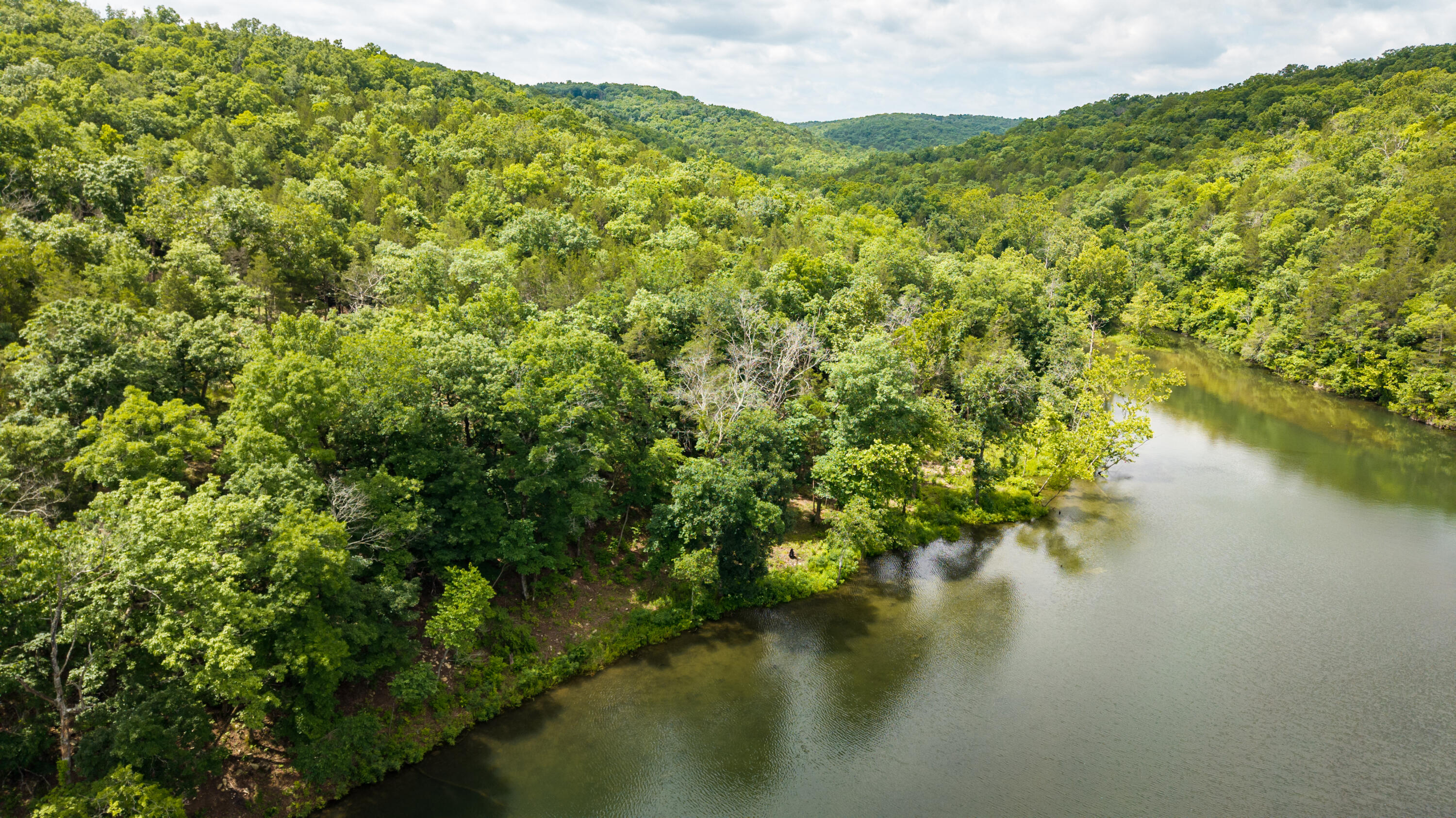 Land in Kirbyville 3