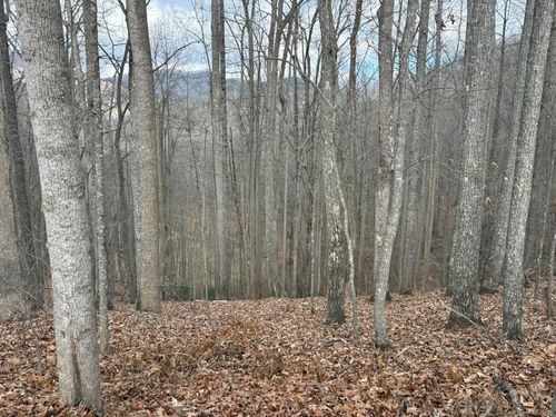 TRACT 3 Doc Thomas Ridge Rd, Blairsville, GA, 30512-8615 | Card Image