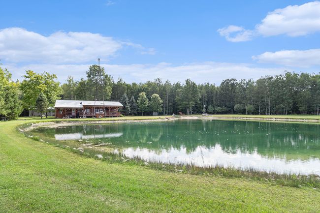 Pond | Image 8