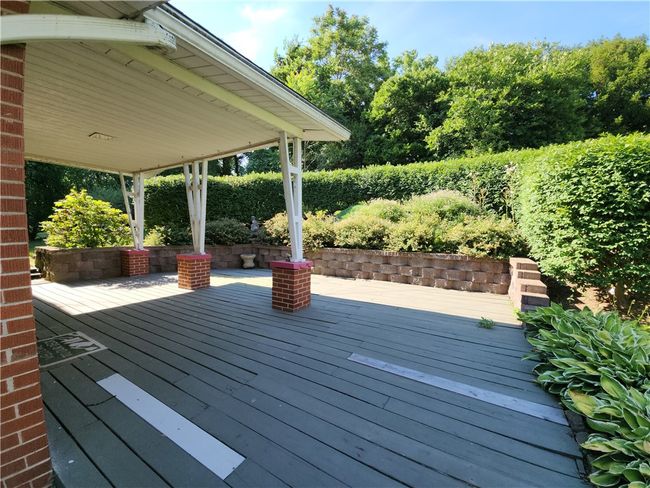 What a paradise in the back of the house. | Image 37