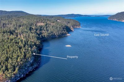 850 Shaner Armstrong Lane, Home with 0 bedrooms, 0 bathrooms and null parking in Orcas Island WA | Image 3