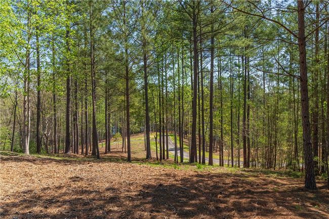6 Canebrake Dr, Home with 0 bedrooms, 0 bathrooms and null parking in Salem SC | Image 4