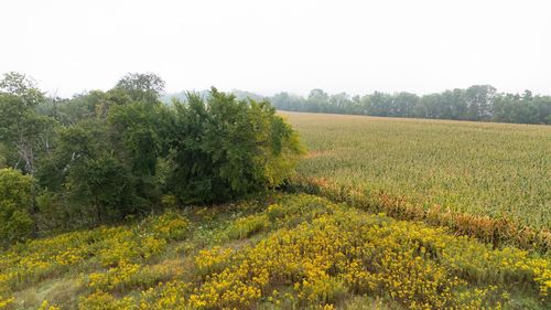 2 Goat Back Rd, Pepin, WI, 54759 | Card Image