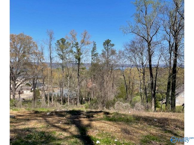 Lot 2 Hickory Hill Drive, Home with 0 bedrooms, 0 bathrooms and null parking in Guntersville AL | Image 2