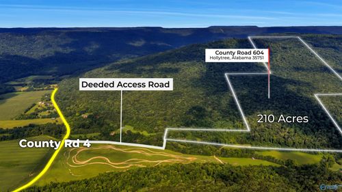 210 Acres County Road 604, Hollytree, AL, 35751 | Card Image