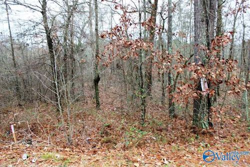 Lot 5 Quail Dr, Centre, AL, 35960-2334 | Card Image