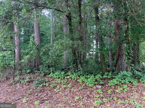 0 Highway 17 Alt, Toccoa, GA, 30577 | Card Image