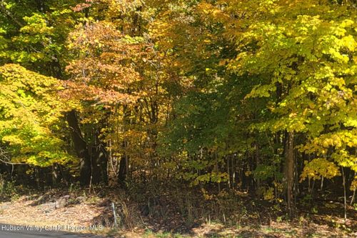 0 Route 145, Cairo, NY, 12413 | Card Image