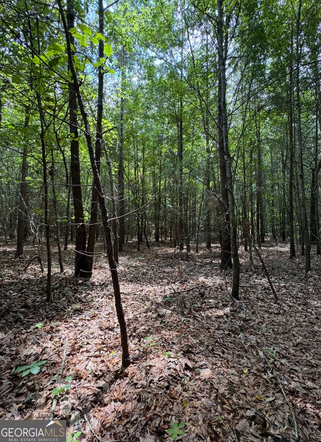 0 Tobias Rd, Home with 0 bedrooms, 0 bathrooms and null parking in Sardis GA | Image 11