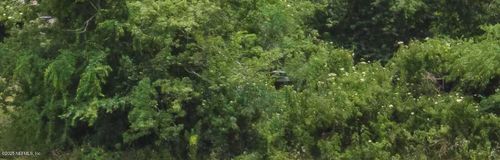 0 Beach Blvd, Jacksonville, FL, 32224 | Card Image