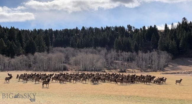 900 Cloud Nine Rd, House other with 3 bedrooms, 3 bathrooms and null parking in Bozeman MT | Image 80