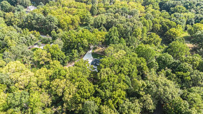 052_dji_0511 | Image 43