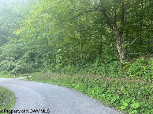 TBD Creed Isner Rd, Kerens, WV, 26276 | Card Image