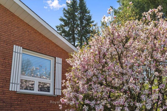 371 4 Th Ave, House other with 4 bedrooms, 2 bathrooms and 6 parking in Hanover ON | Image 33