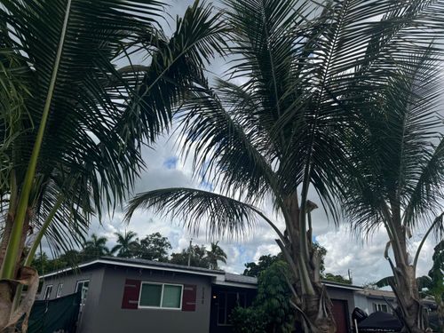 3340 Sw 20th Ct, Fort Lauderdale, FL, 33312-3652 | Card Image