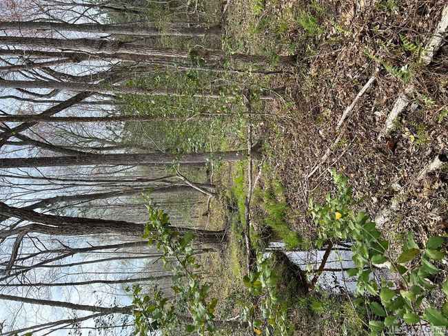 32.49 Ac Chalk Level Rd, Home with 0 bedrooms, 0 bathrooms and null parking in Alberta VA | Image 46