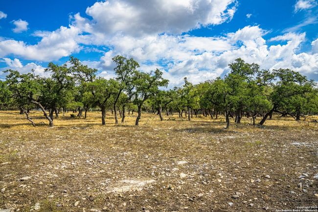 436 Stevens Ranch Rd, Home with 0 bedrooms, 0 bathrooms and null parking in Harper TX | Image 16