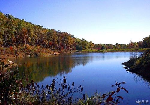 0 Off Wayne 349a, Piedmont, MO, 63957 | Card Image
