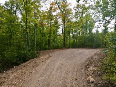 Lot 1 Grundy Rd, Home with 0 bedrooms, 0 bathrooms and null parking in Tomahawk WI | Image 2