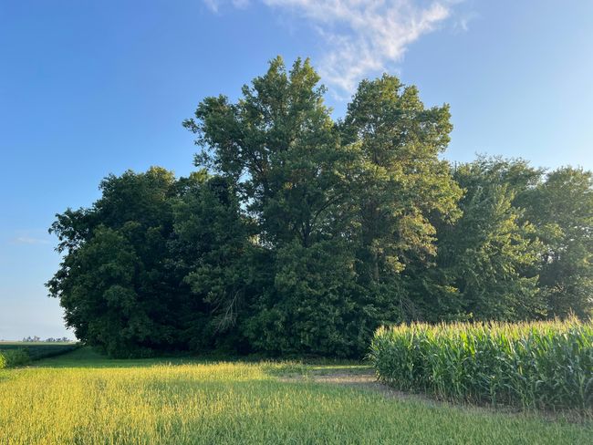 0 Norton Road, Home with 0 bedrooms, 0 bathrooms and null parking in Radnor OH | Image 7