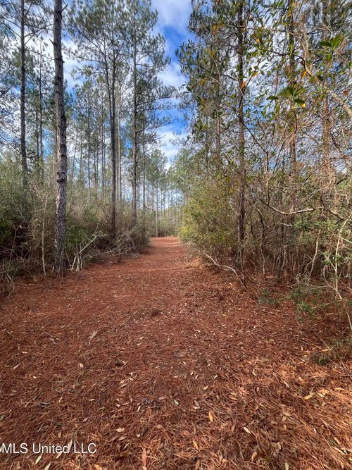 40 Acres Deep Creek Rd, Wiggins, MS, 39577 | Card Image