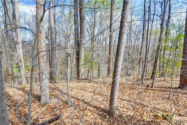 1623 Mahixon Rd, House other with 3 bedrooms, 1 bathrooms and null parking in Manquin VA | Image 20