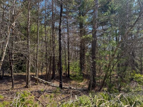 116 Sugar Loaf Trl, East Jewett, NY, 12424-5313 | Card Image