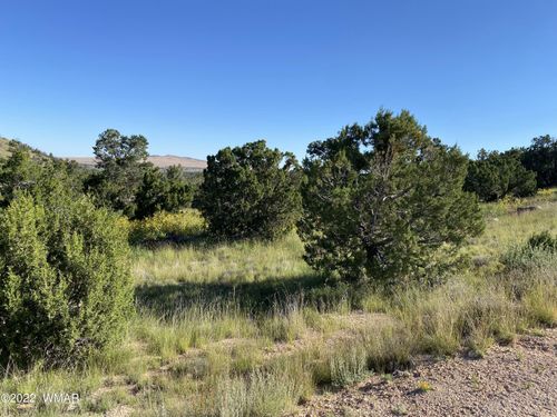00 N4078, Springerville, AZ, 85938 | Card Image