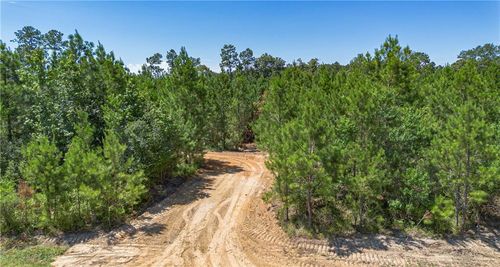 Lot A Ten Mile Road, Pitkin, LA, 70656 | Card Image