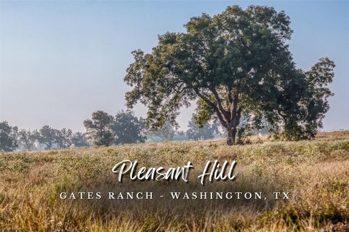 TBD Flat Prairie Rd, Washington, TX, 77880 | Card Image