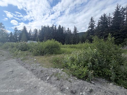 Lots 8&9 Spruce Grove Rd, Haines, AK, 99827 | Card Image