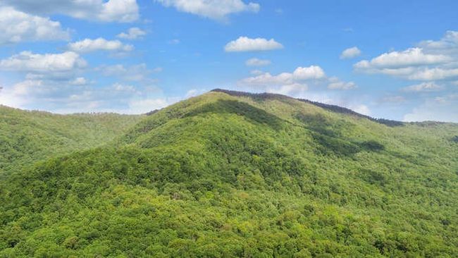 4760 Anderson Rd, Home with 4 bedrooms, 4 bathrooms and 2 parking in Hiawassee GA | Image 67