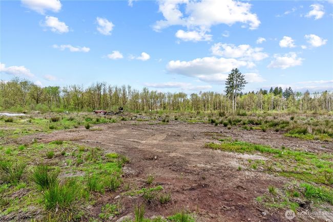 4949 Jackson Hwy, Home with 0 bedrooms, 0 bathrooms and null parking in Toledo WA | Image 30