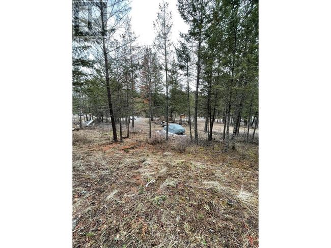 8828 N Hirtz St, Home with 0 bedrooms, 0 bathrooms and null parking in Elko BC | Image 8