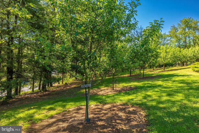 9632 Harmony Rd, House other with 3 bedrooms, 2 bathrooms and null parking in MYERSVILLE MD | Image 33