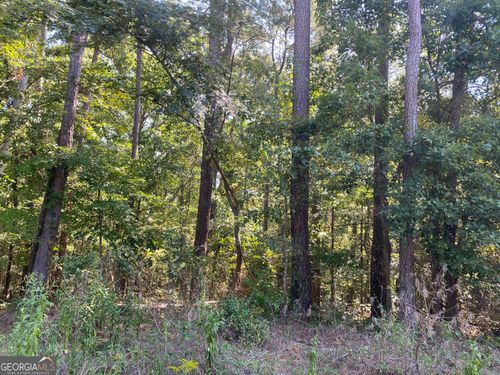 0 Lakewood Trl Ne, Conyers, GA, 30012 | Card Image