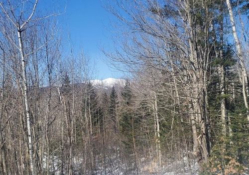 00 Tin Mine Road, Jackson, NH, 03846 | Card Image