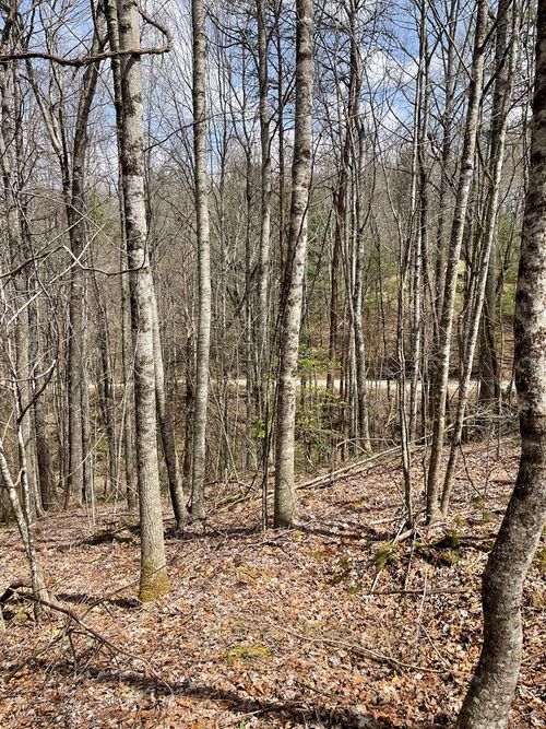 00 Hidden Lakes, Topton, NC, 28781 | Card Image