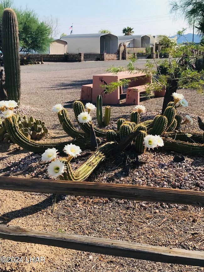 LOT-13 - 200 N Moon Mountain Ave, House other with 1 bedrooms, 1 bathrooms and null parking in Quartzsite AZ | Image 25