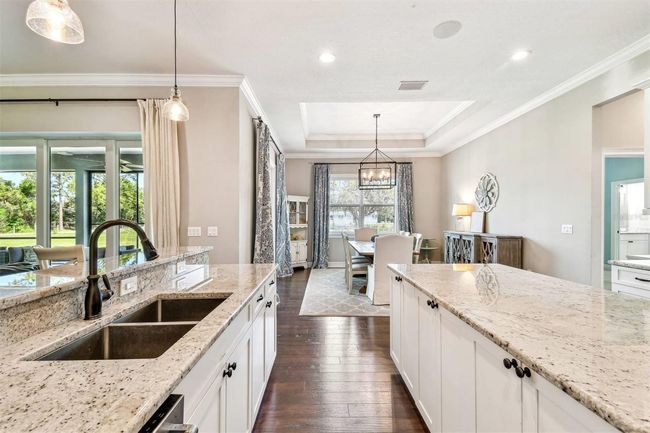 15513 Phillips Rd, House other with 4 bedrooms, 3 bathrooms and null parking in ODESSA FL | Image 21