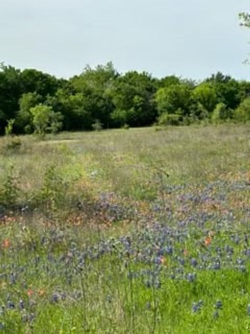 35 Longview Creek Trail, Itasca, TX, 76055 | Card Image