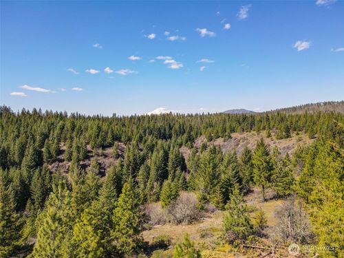 10 Piper Cyn, Centerville, WA, 98613-2306 | Card Image