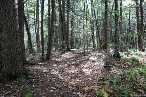 0 W Main St, Hancock, NY, 13783 | Card Image