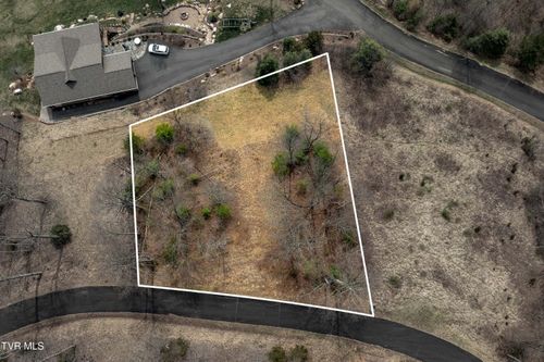 Tbd Lot 19 Mitchelle Arney Lane, Butler, TN, 37640 | Card Image