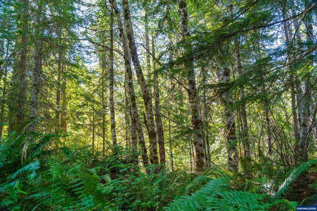 0 Bald Mountain Rd, Home with 0 bedrooms, 0 bathrooms and null parking in Beaver OR | Image 27