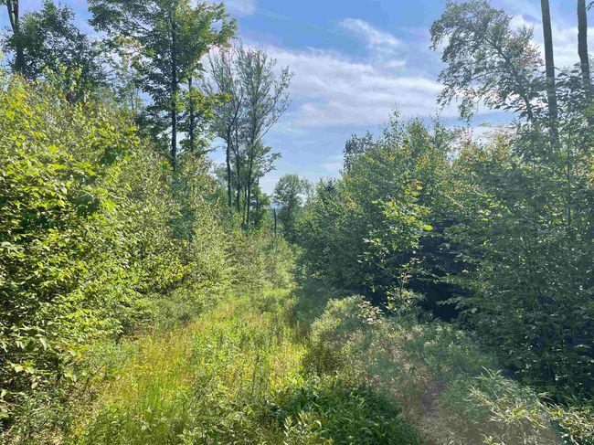 63 New Boston Rd, Home with 0 bedrooms, 0 bathrooms and null parking in Francestown NH | Image 16