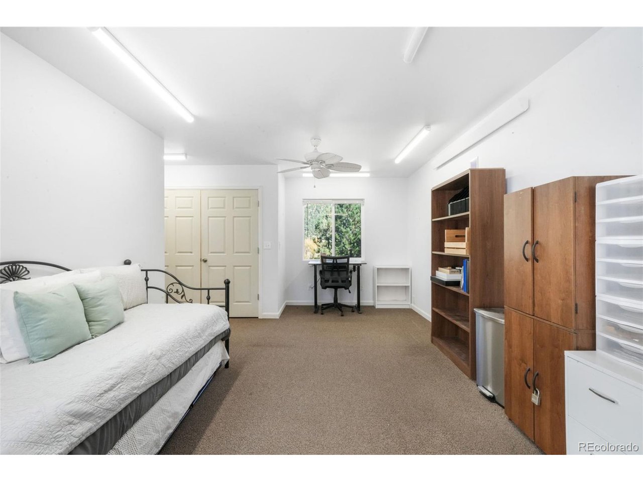 Residential in Westcliffe 5